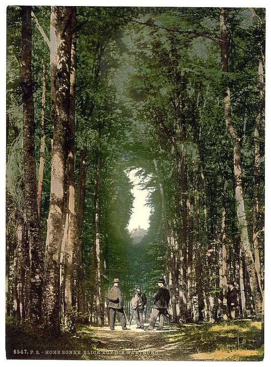 A picture of Hohesonne and view of the Wartburg, Wartburg, Thuringia, Germany