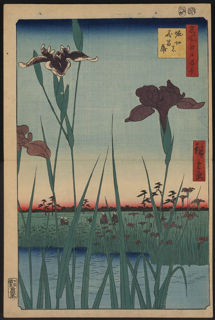 A picture of Horikiri no hanashōbu