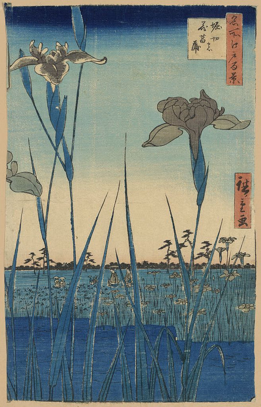 A picture of Horikiri no hanashōbu