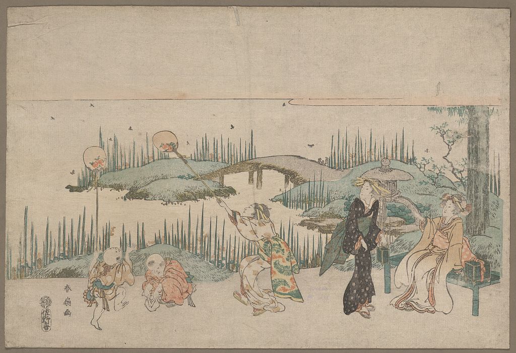 A picture of Hotaru gari