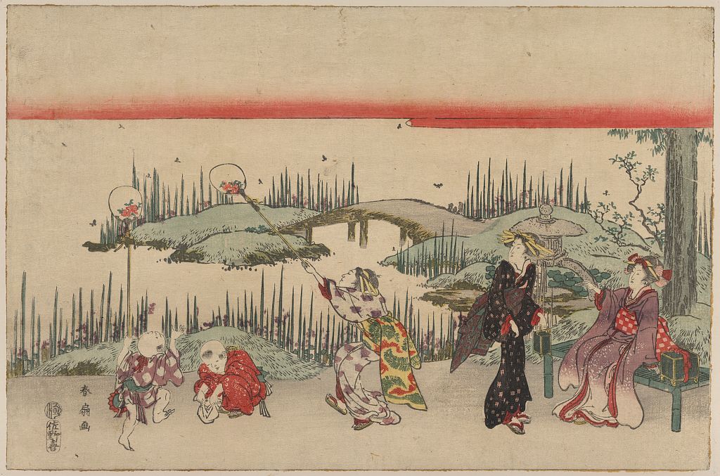 A picture of Hotaru gari