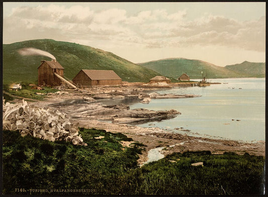 A picture of Hvalfanger Station, Tufjord, Norway