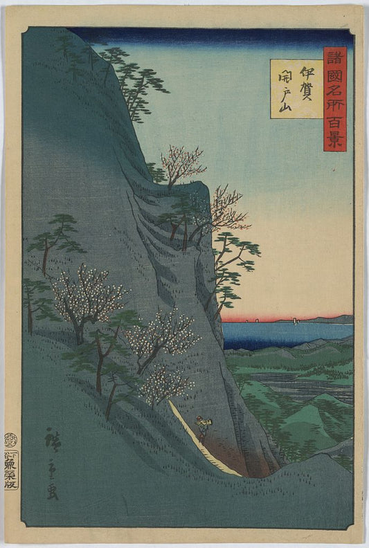A picture of Iga kaitosan