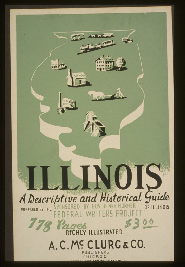 A picture of Illinois: A descriptive and historical guide