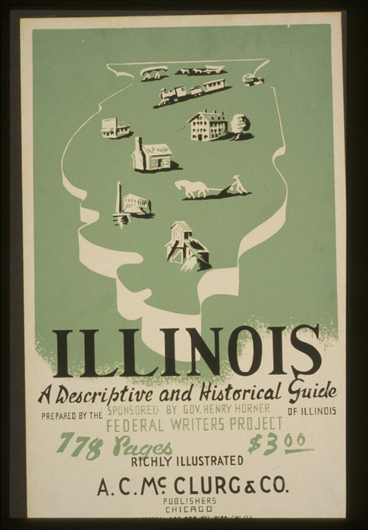 A picture of Illinois: A descriptive and historical guide