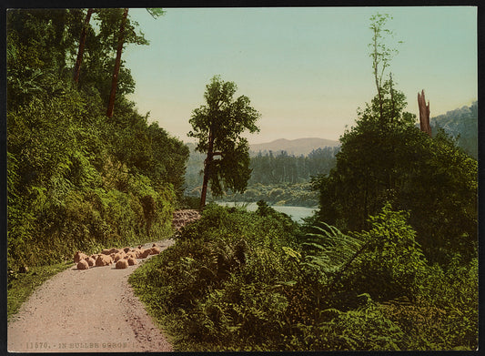 A picture of In Buller Gorge I