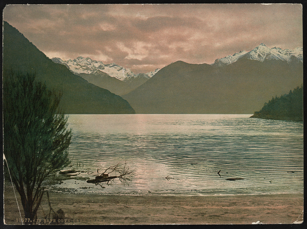 A picture of In Safe Cove. Lake Te Anau