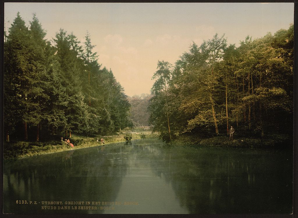 A picture of In Zeister Wood, Utrecht, Holland
