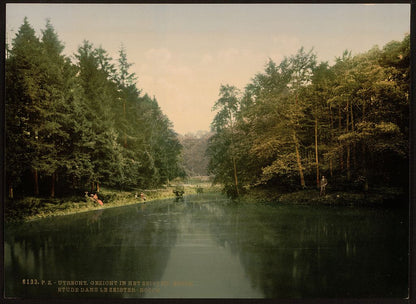 A picture of In Zeister Wood, Utrecht, Holland