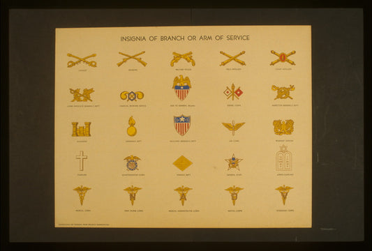 A picture of Insignia of branch or arm of service