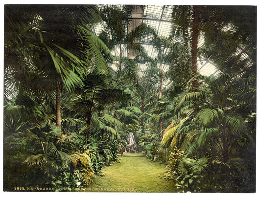 A picture of Interior of Palm Houses, Frankfort on Main (i.e. Frankfurt am Main), Germany