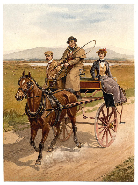 A picture of Irish jaunting car