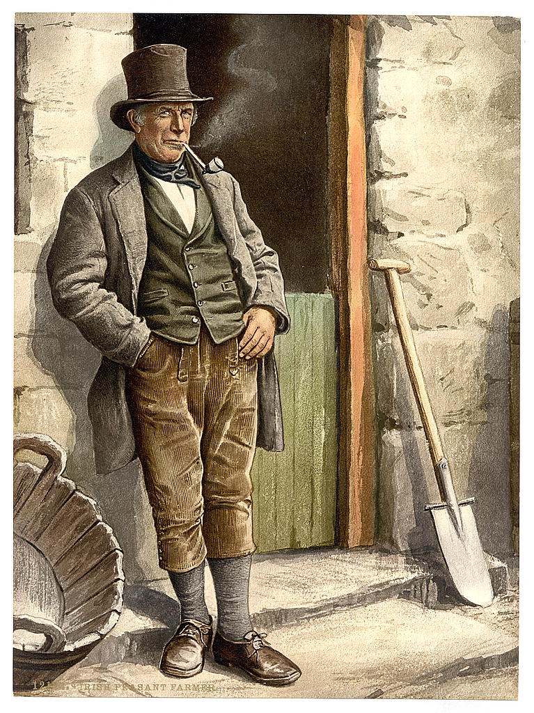 A picture of Irish peasant farmer