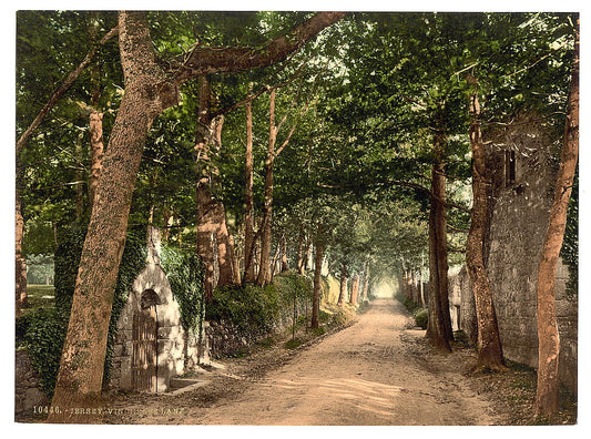 A picture of Jersey, Vinchelez Lane, Channel Islands