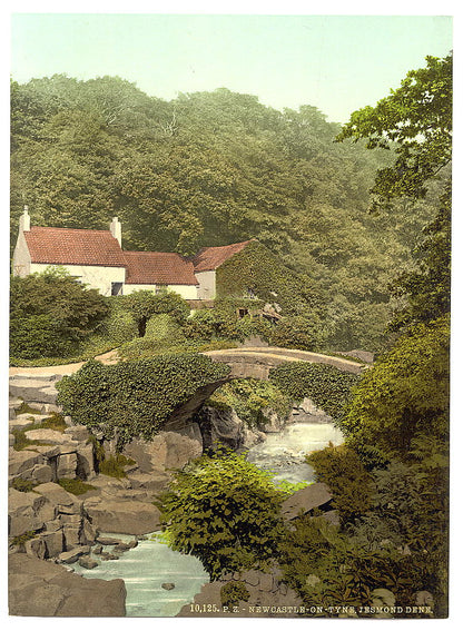 A picture of Jesmond Dene, old mill, Newcastle-on-Tyne, England