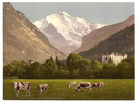A picture of Jungfrau and Jungfraublick Hotel, Bernese Hotel, Switzerland