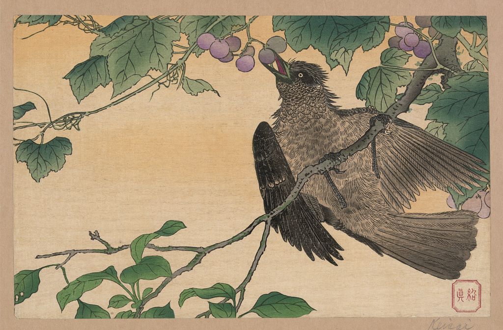 A picture of Kachōga