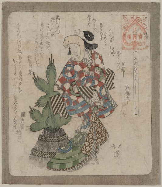 A picture of Kadoide yoshi