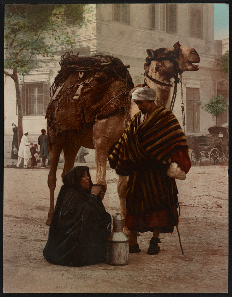 A picture of Kairo. Bédouin et sa femme aprés le marche