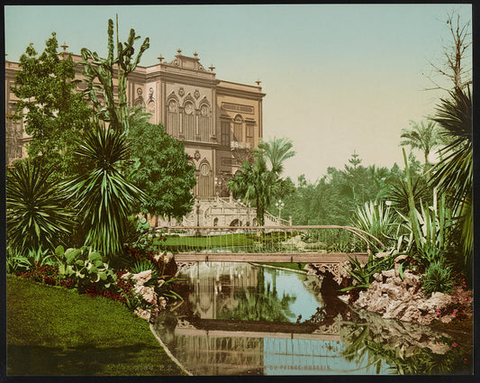 A picture of Kairo, Cactées au Jardin du Prince Hussein