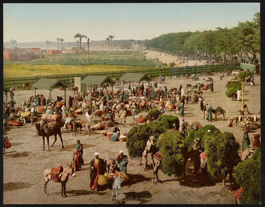 A picture of Kairo, octroi au Pont du Nil. no. 1