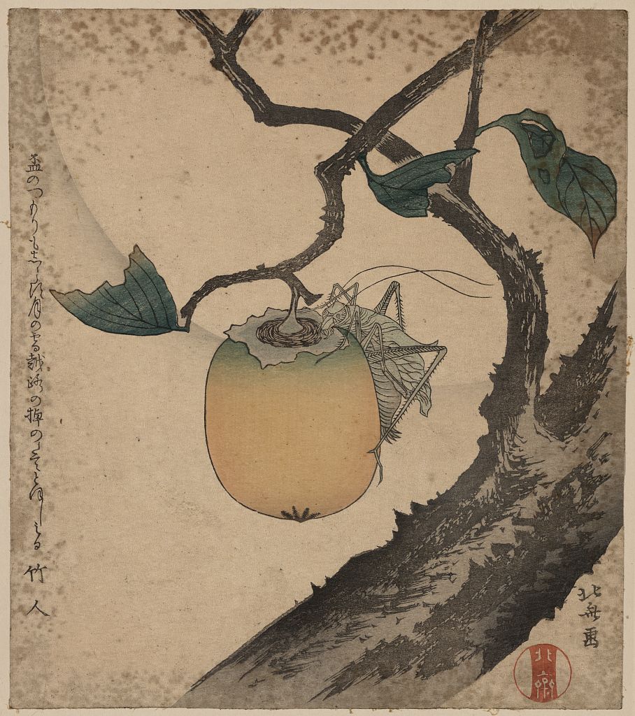 A picture of Kaki ni kirigirisu