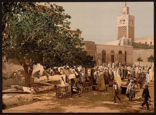 A picture of Kasbah market, Tunis, Tunisia