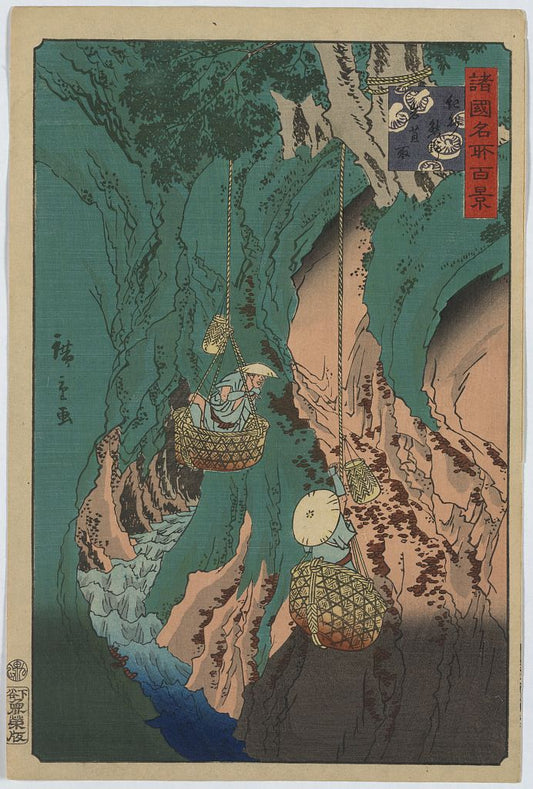 A picture of Kishū kumano iwatake tori