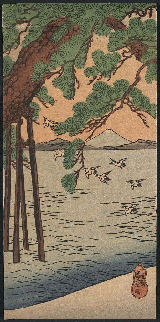 A picture of Kisibe no matsu