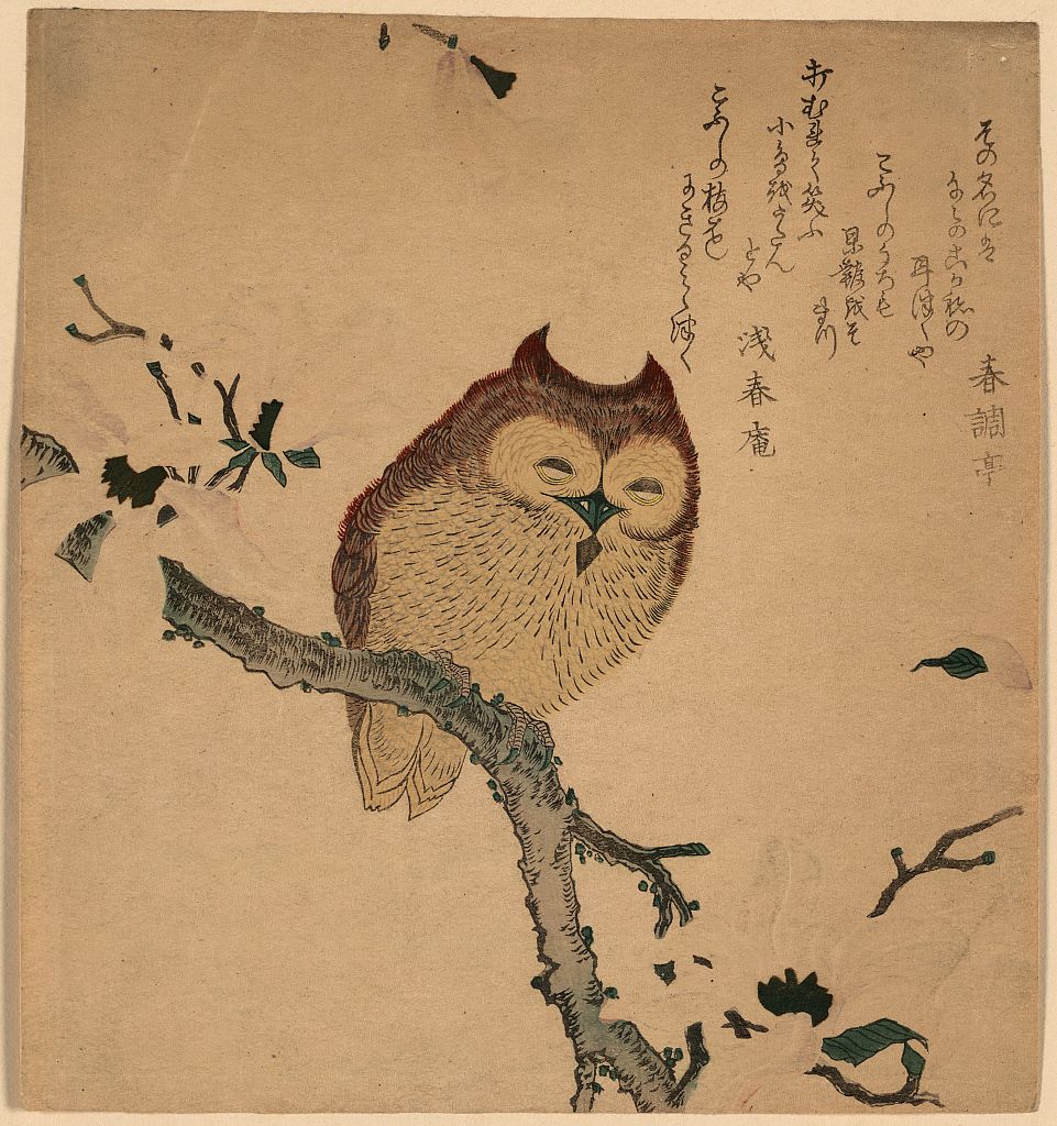A picture of Kobushi ni mimizuku