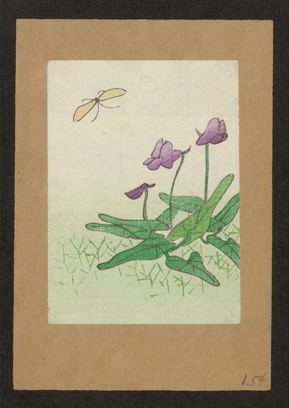 A picture of Kōhone ni chō