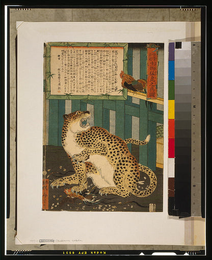 A picture of Konjaku miken seibutsu mōko no shinzu