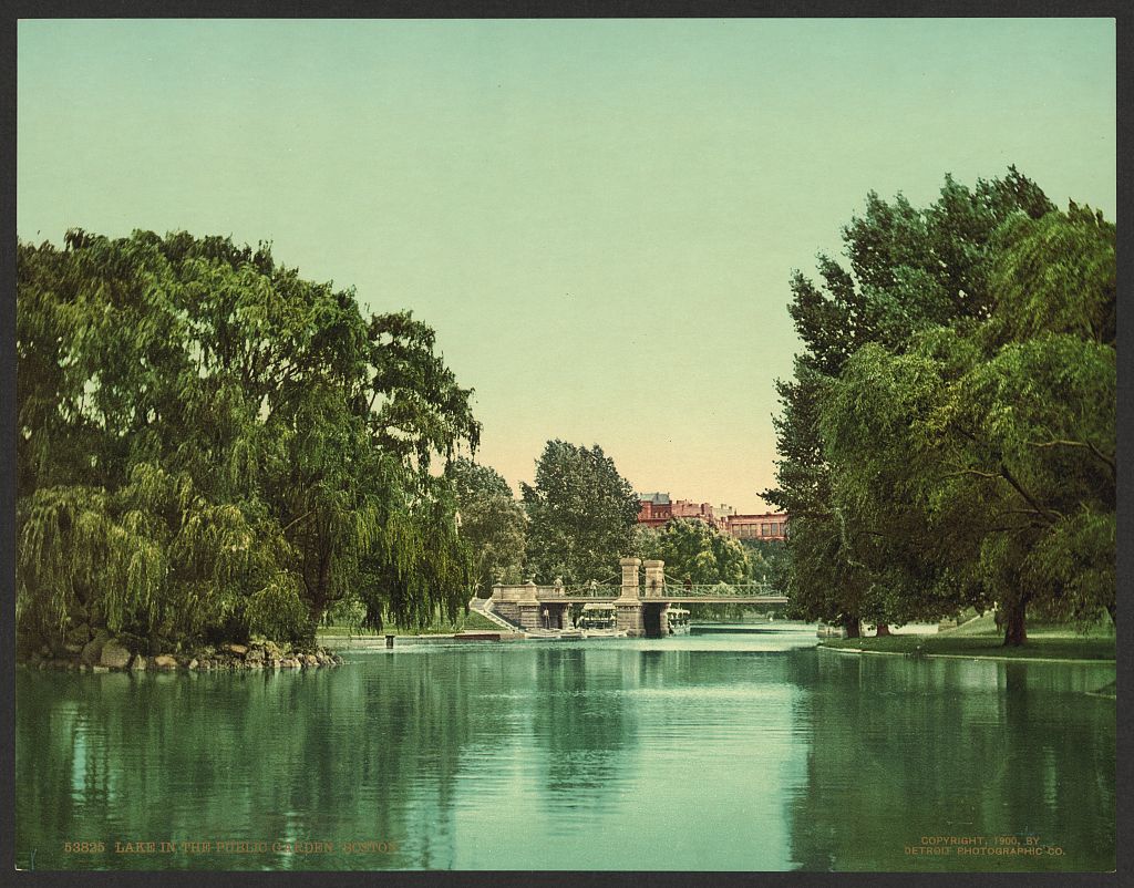 A picture of Lake in the Public Garden, Boston