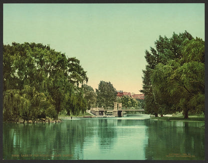 A picture of Lake in the Public Garden, Boston