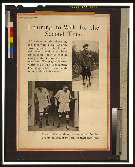 A picture of Learning to walk for the second time