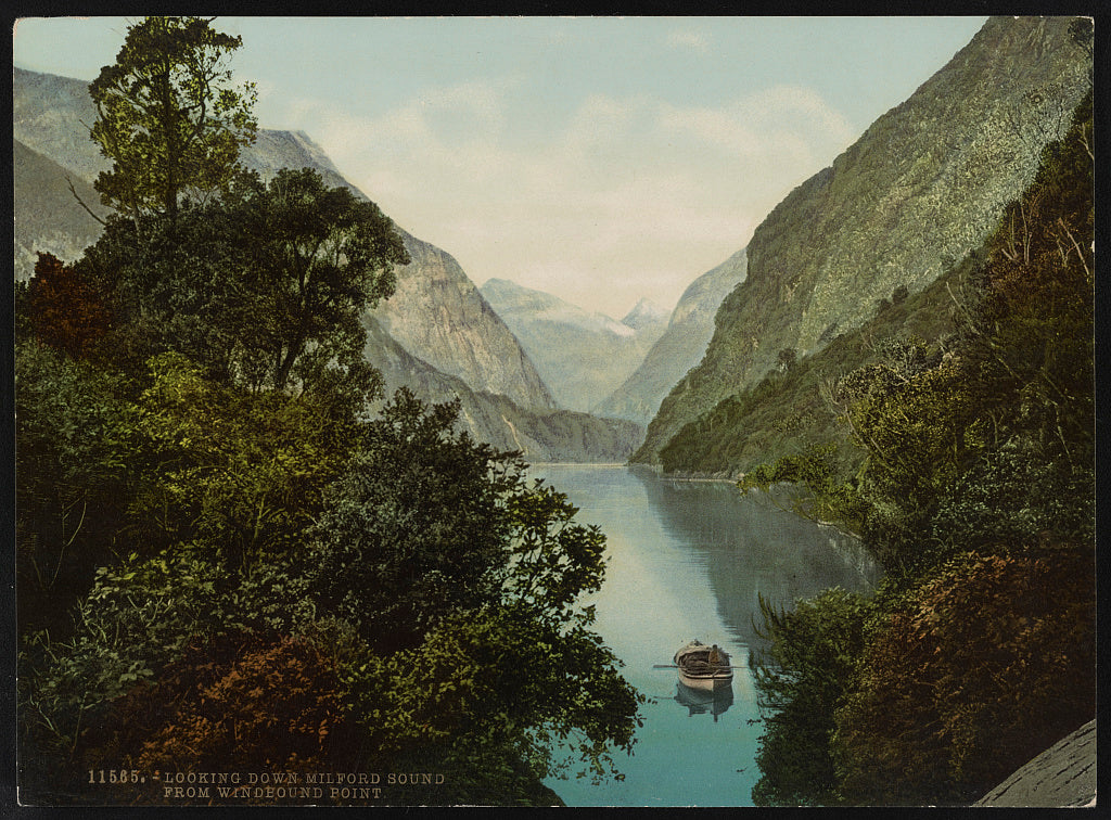 A picture of Looking Down Milford Sound from Windbound Point