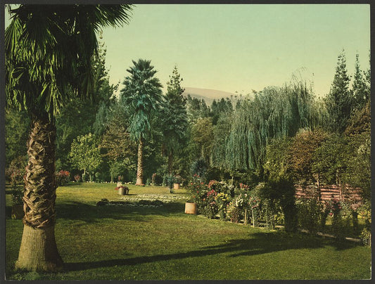 A picture of Lucky Baldwin's ranch, Pasadena