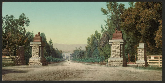 A picture of Main entrance and driveway, Leland Standford Junior University