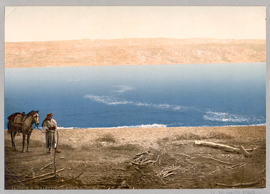 A picture of Man with horse standing near the Dead Sea