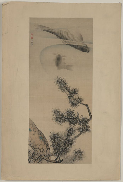 A picture of Matsu no koi