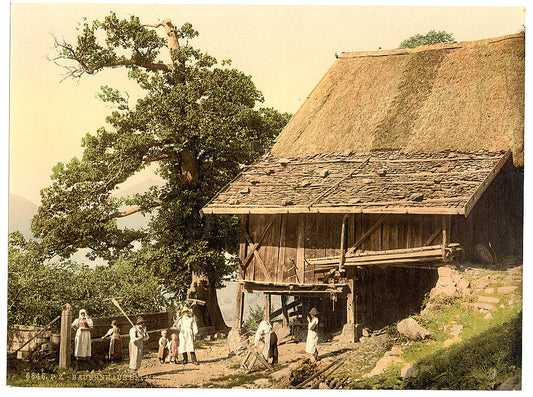 A picture of Meran, peasants' house, Tyrol, Austro-Hungary