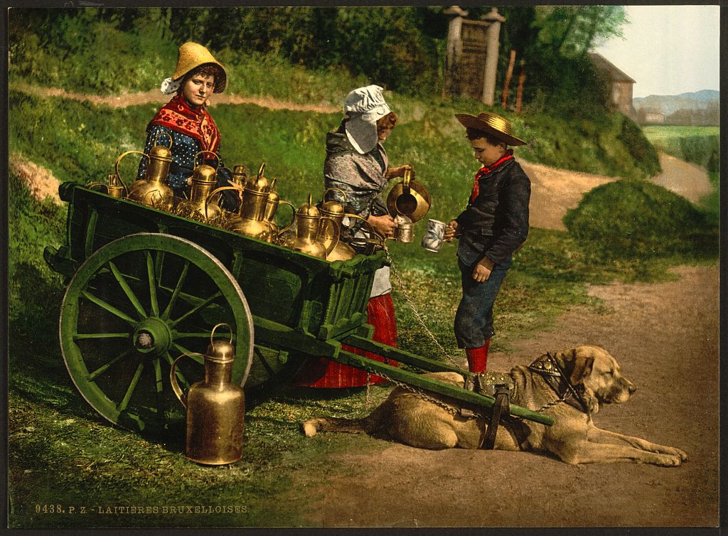 A picture of Milksellers, Brussels, Belgium