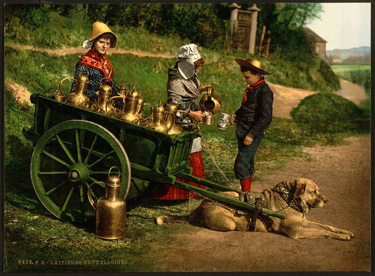 A picture of Milksellers, Brussels, Belgium