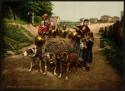 A picture of Milksellers, Brussels, Belgium