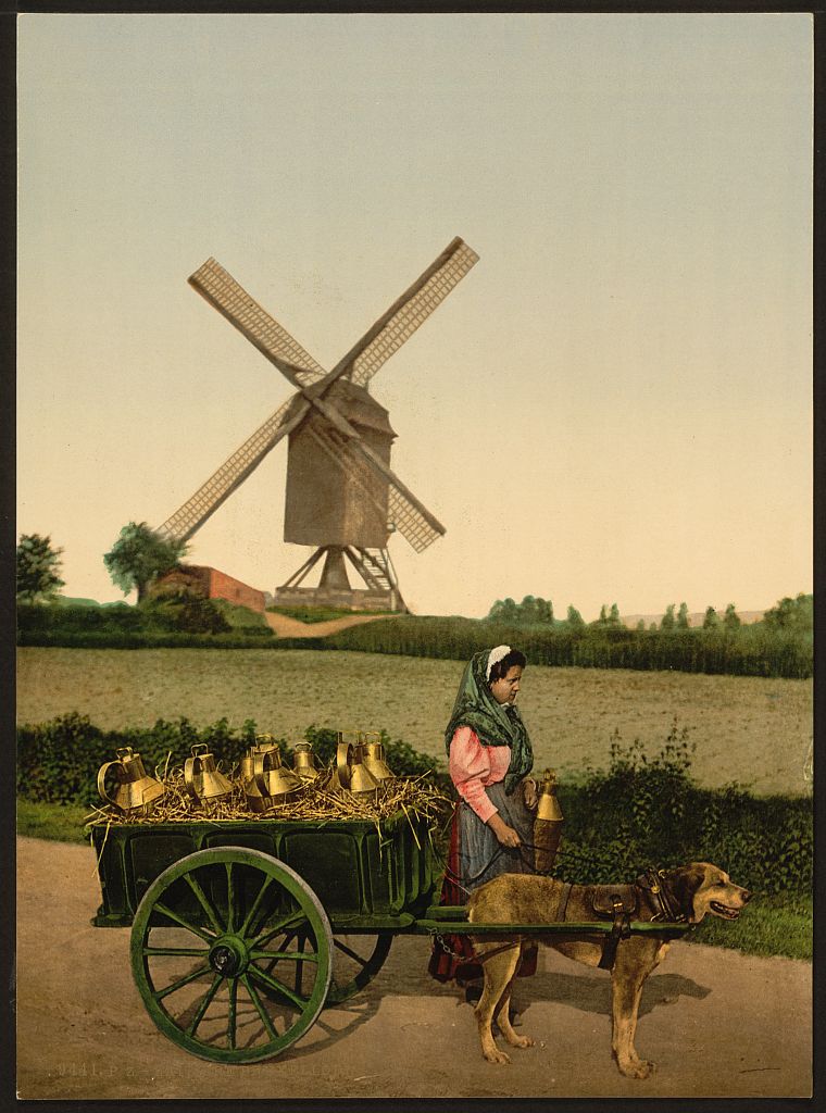 A picture of Milksellers, Brussels, Belgium