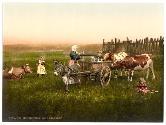 A picture of Milksellers, Cologne, the Rhine, Germany
