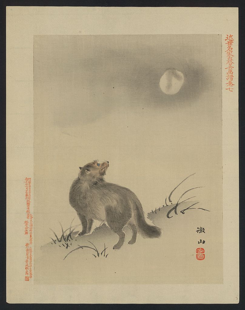 A picture of Modern illustrated sheets with pictorial envelope