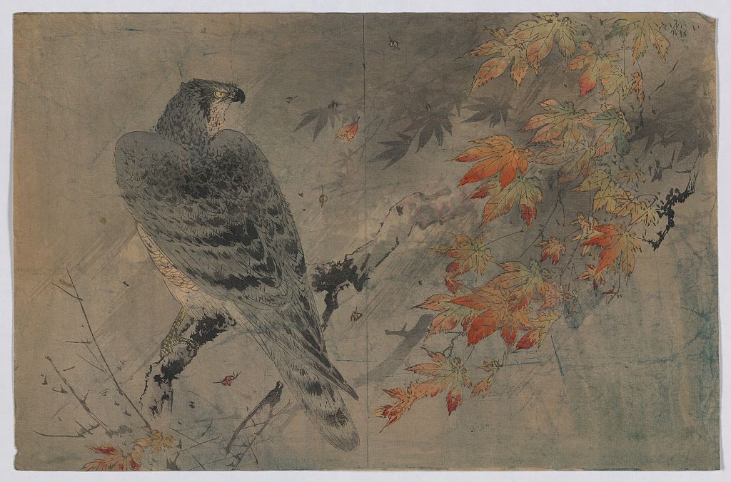 A picture of Momiji ni washi
