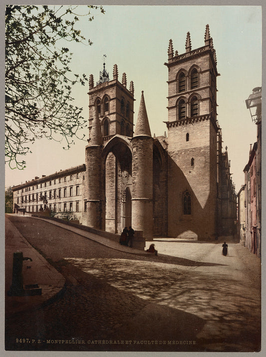 A picture of Montpellier. Cathédrale et Faculté de Médecine