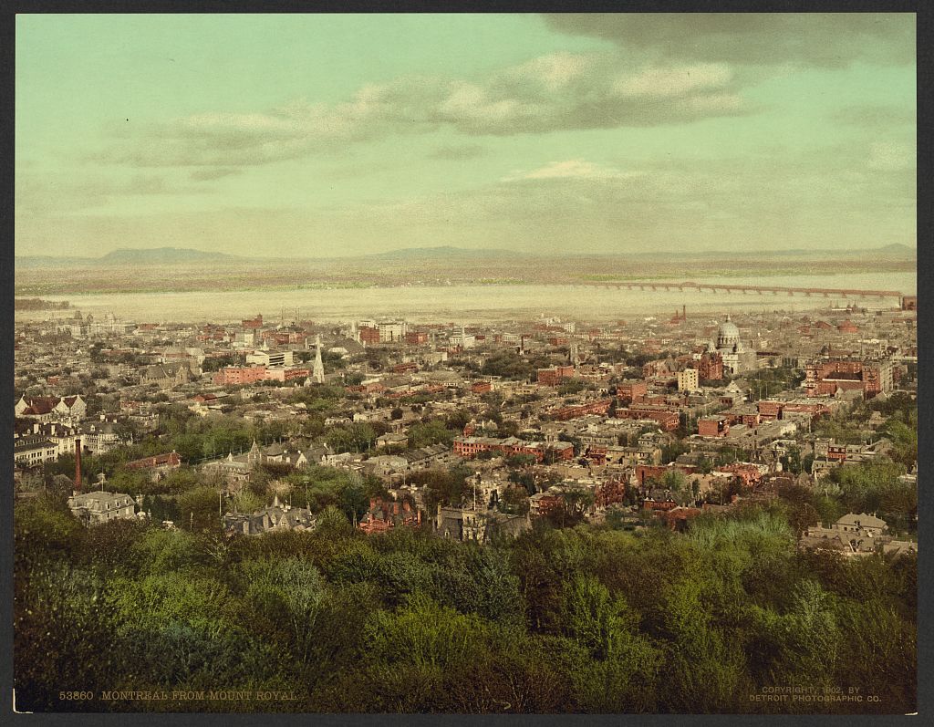 A picture of Montreal from Mount Royal